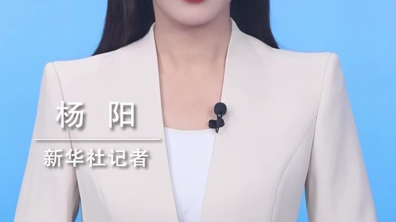 网络科技公司经营范围全解析：揭秘核心业务与市场定位